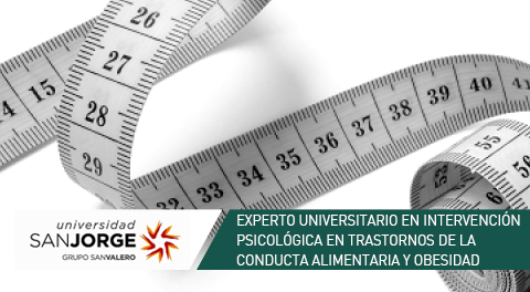 Experto Universitario Online en Intervención Psicológica en Trastornos de la Conducta Alimentaria y Obesidad