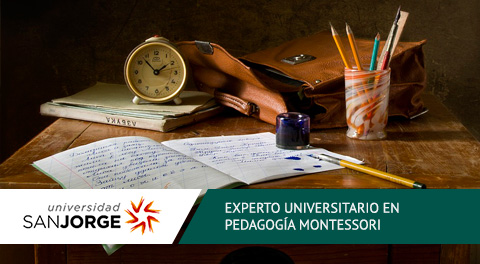 Experto Universitario Online en Pedagogía Montessori