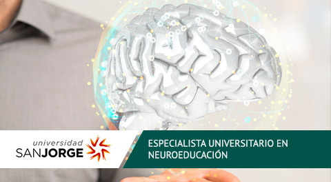 Diploma de Especialización Universitaria en Neuroeducación