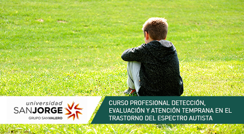 Curso Profesional Online Detección, Evaluación y Atención temprana en el trastorno del espectro autista