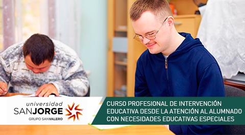 Curso Profesional Online Intervención educativa desde la atención al alumnado con necesidades educativas especiales