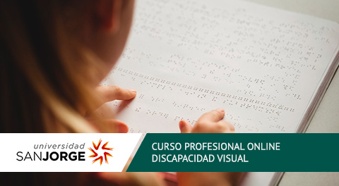 Curso Profesional Online Discapacidad Visual