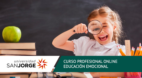 Curso Homologado Profesional Online Educación Emocional