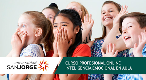 Curso Profesional Online Inteligencia Emocional en aula