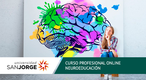 Curso Profesional Online Neuroeducación