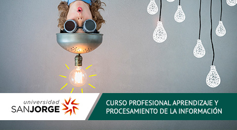 Curso Profesional Online Aprendizaje y Procesamiento de la Información