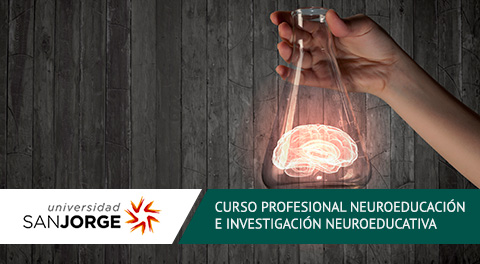 Curso Profesional Online Neuroeducación e Investigación Neuroeducativa