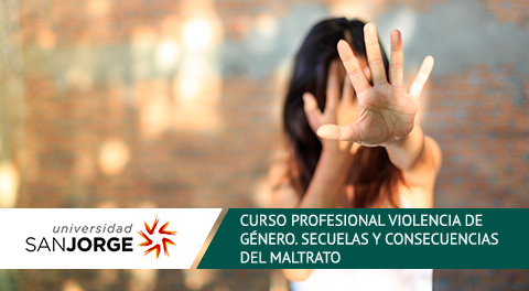 Curso Profesional Online Violencia de Género: Secuelas y Consecuencias del Maltrato