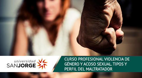 Curso Homologado Profesional Online Violencia de género y Acoso Sexual: Tipos y Perfil del Maltratador