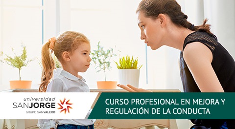 Curso Homologado Profesional Online Mejora y regulación de la conducta