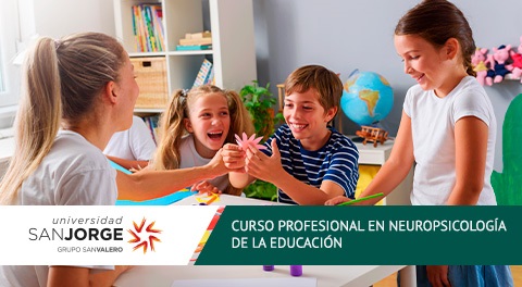 Curso Profesional Online Neuropsicología de la Educación