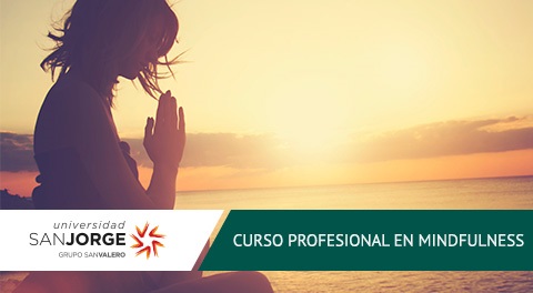 Curso Profesional Online Mindfulness