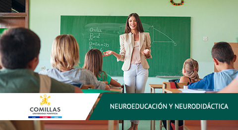 Curso Docente Online Neuroeducación y Neurodidáctica
