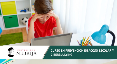 Curso online en Prevención del acoso escolar y Ciberbullying