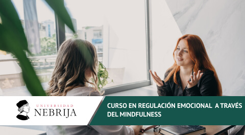 Curso online en Regulación emocional a través del mindfulness