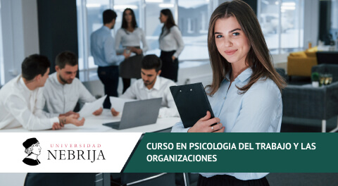 Curso online en Psicología del trabajo y las organizaciones